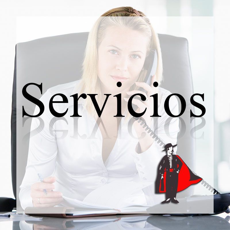 SERVICIO DE GESTION DE DEUDAS